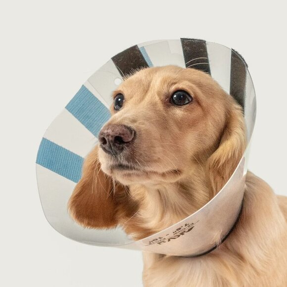 KVP EZ Clear Dog Recovery Collar, Fits 10-Inch to 13-Inch Neck/7.5-Inch Depth - Picture 1 of 9